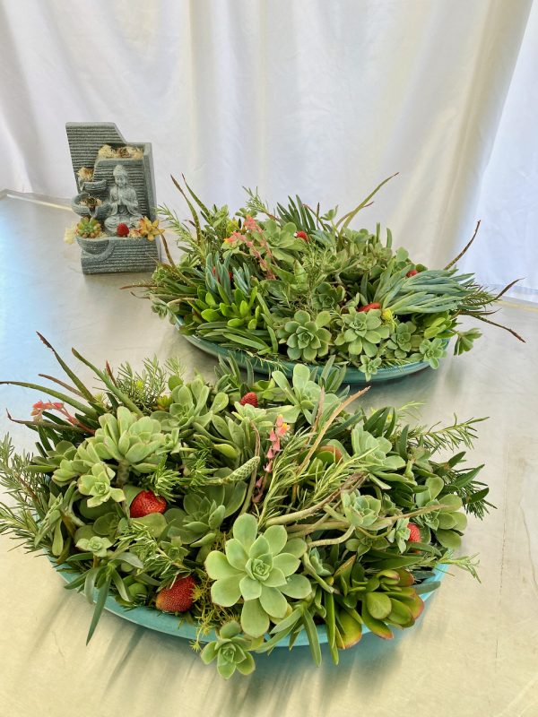 Succulent Centerpieces