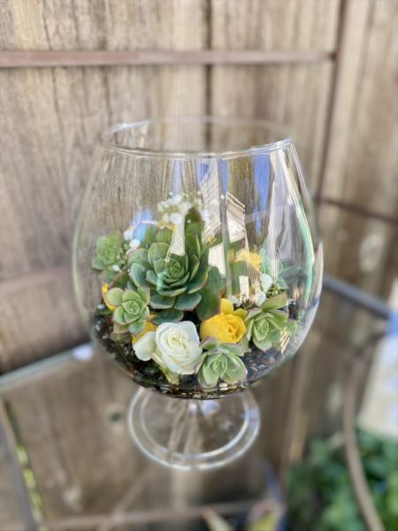 Everlasting Blooms