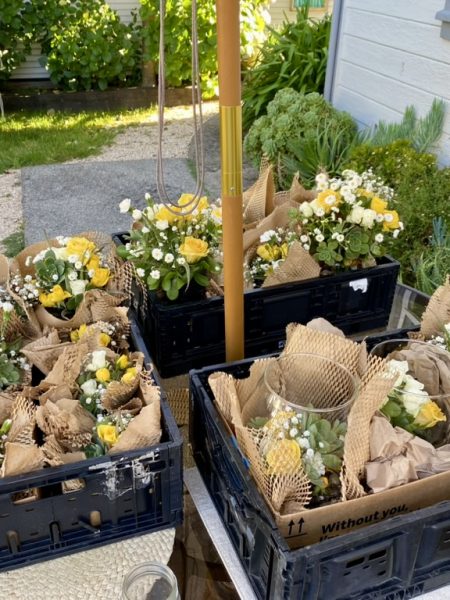 Everlasting Blooms